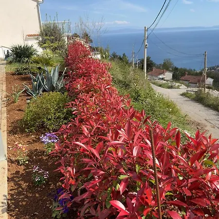 Dreamtime - One Badroom And 1 Livingroom