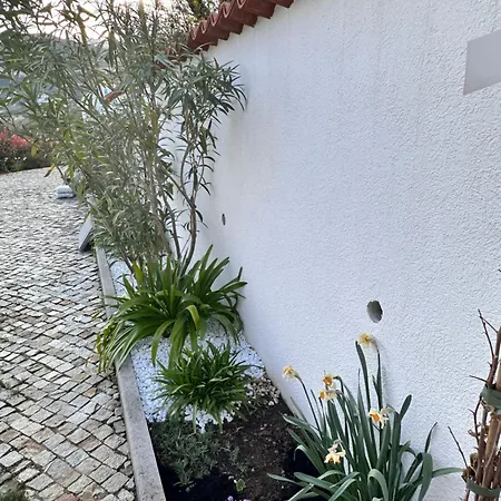 Dreamtime - One Badroom And 1 Livingroom 公寓