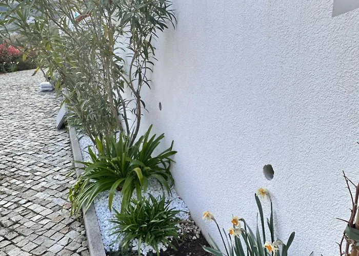 Dreamtime - One Badroom And 1 Livingroom Apartmán